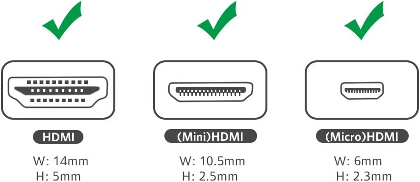 UGREEN 2 in 1 Mini HDMI and Micro HDMI Male To HDMI Female Adapter Supports 1080P